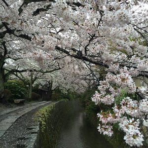 Meet your Posher, Jung